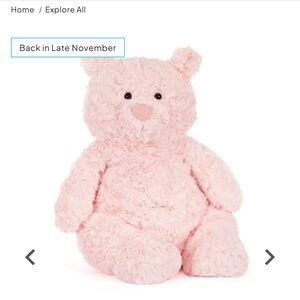 Rare Leola Bear Jellycat Pink Plush Toy